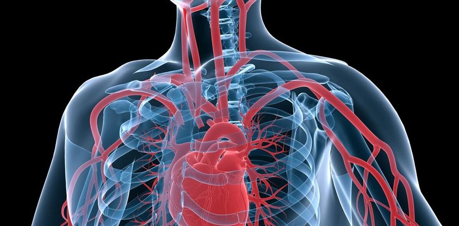 Krankheitsbild: Erkrankungen der Hauptschlagader (Aorta)