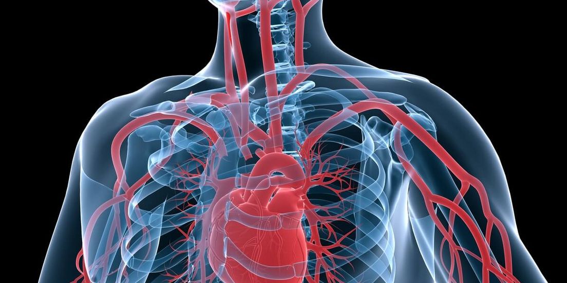 Erkrankungen Der Hauptschlagader ǀ Mediclin Herzzentrum Lahr