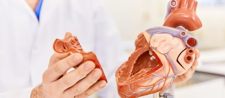 Katheterbasierte Aortenklappen-Implantationen (TAVI) der neuesten Generation