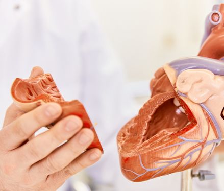 Katheterbasierte Aortenklappen-Implantationen (TAVI) der neuesten Generation