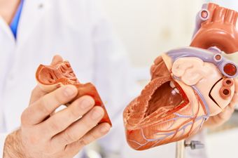 Beratung Prof. Sodian