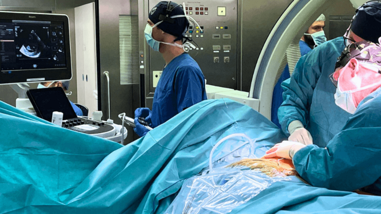 Lahrer Ärzte als Experten auf der HeartLive 2024 in München