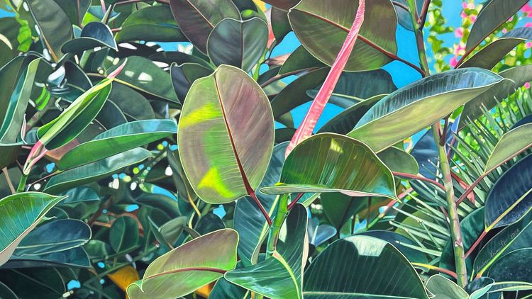 Ausstellung „Blattwerk“ im MEDICLIN Herzzentrum Lahr